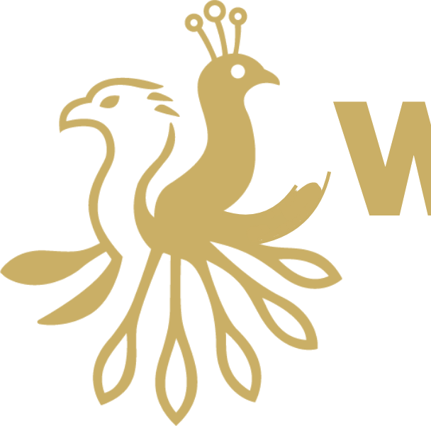Wings49 Hub